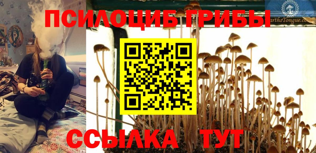 Галлюциногенные грибы мухоморы  Псилоцибиновые грибы GOLDEN TEACHER  Вход с VPN  Ивантеевка 